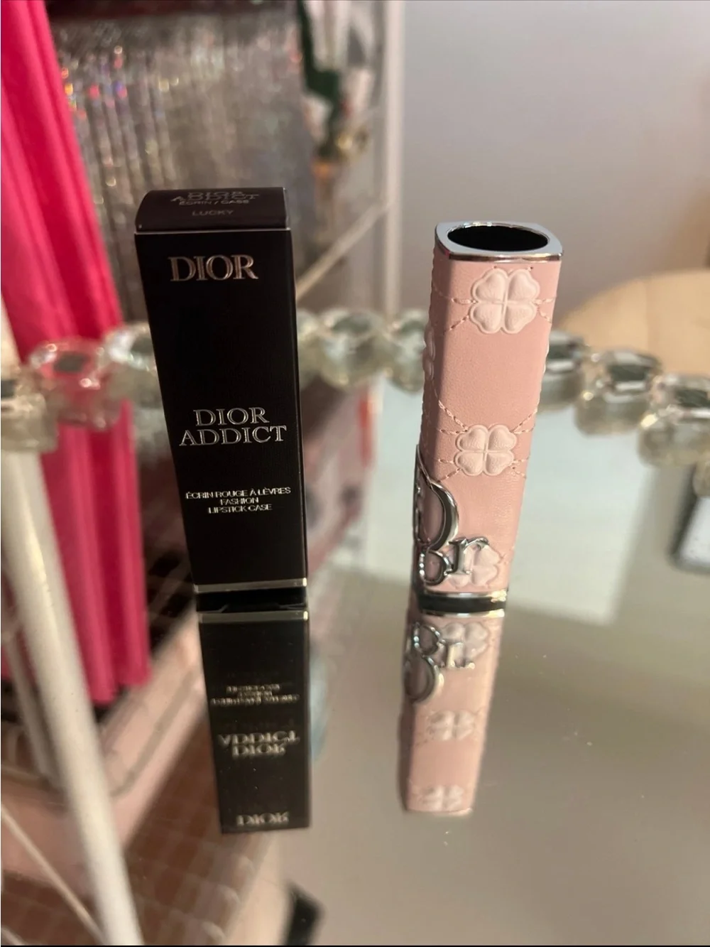 Dior Addict Lip Case in Lucky